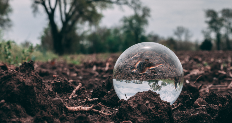 A picture of a drop peacefully placed on dirt